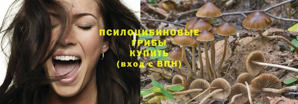 амф Алексин